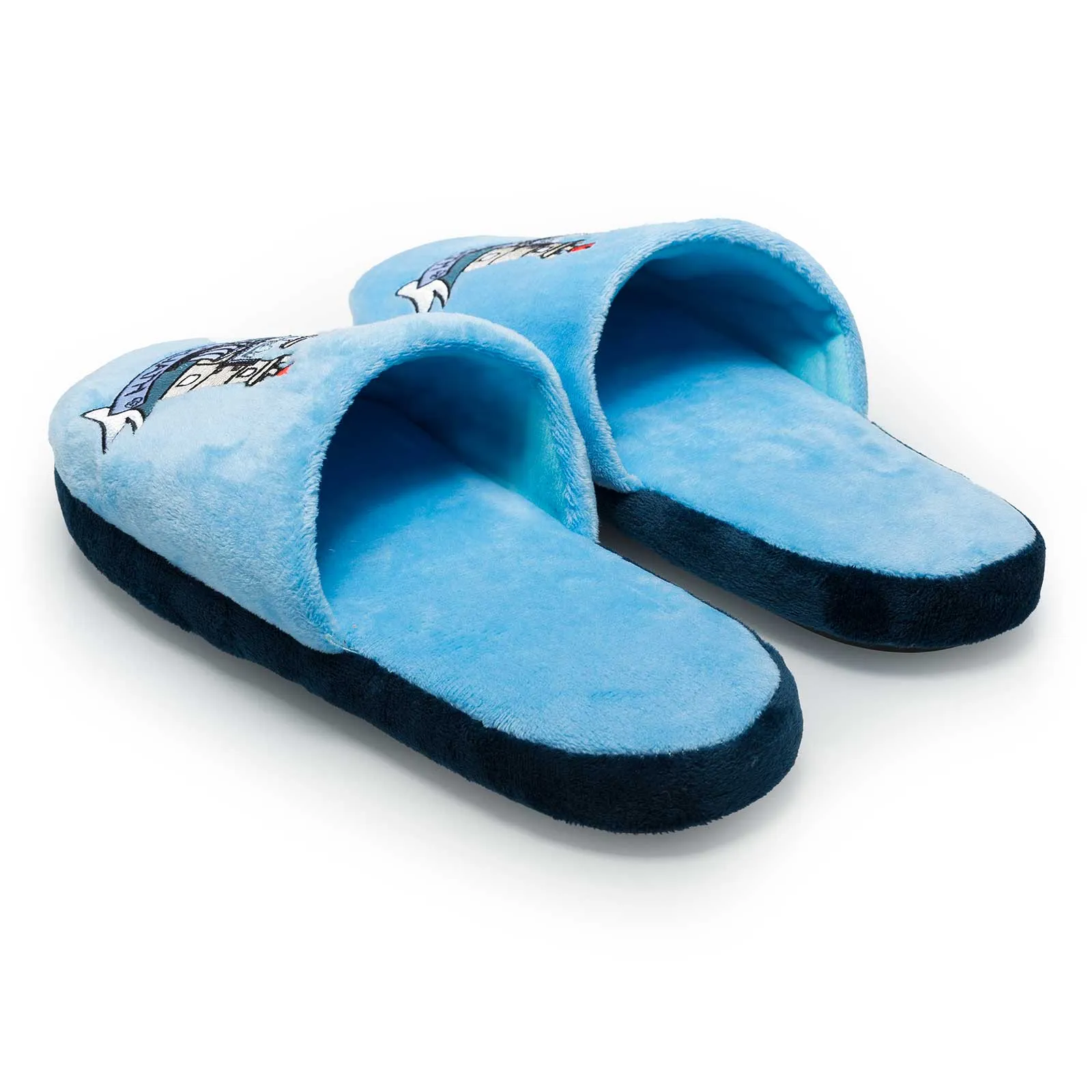 FOCO Dublin Kids Slippers Blue